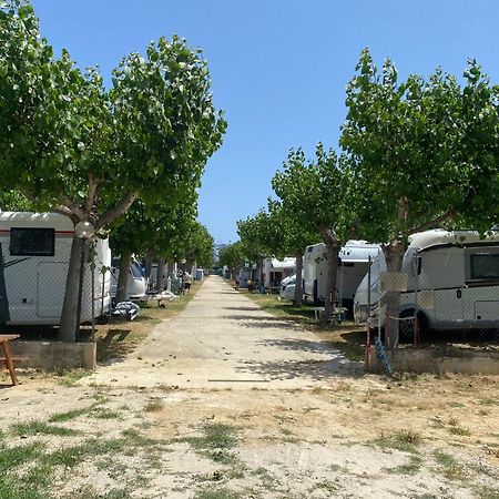 Hotel Camping Adriatico Martinsicuro Exteriér fotografie